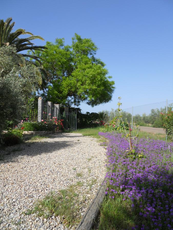 La Aragonesa Guest House มาร์โมเลโฆ ภายนอก รูปภาพ